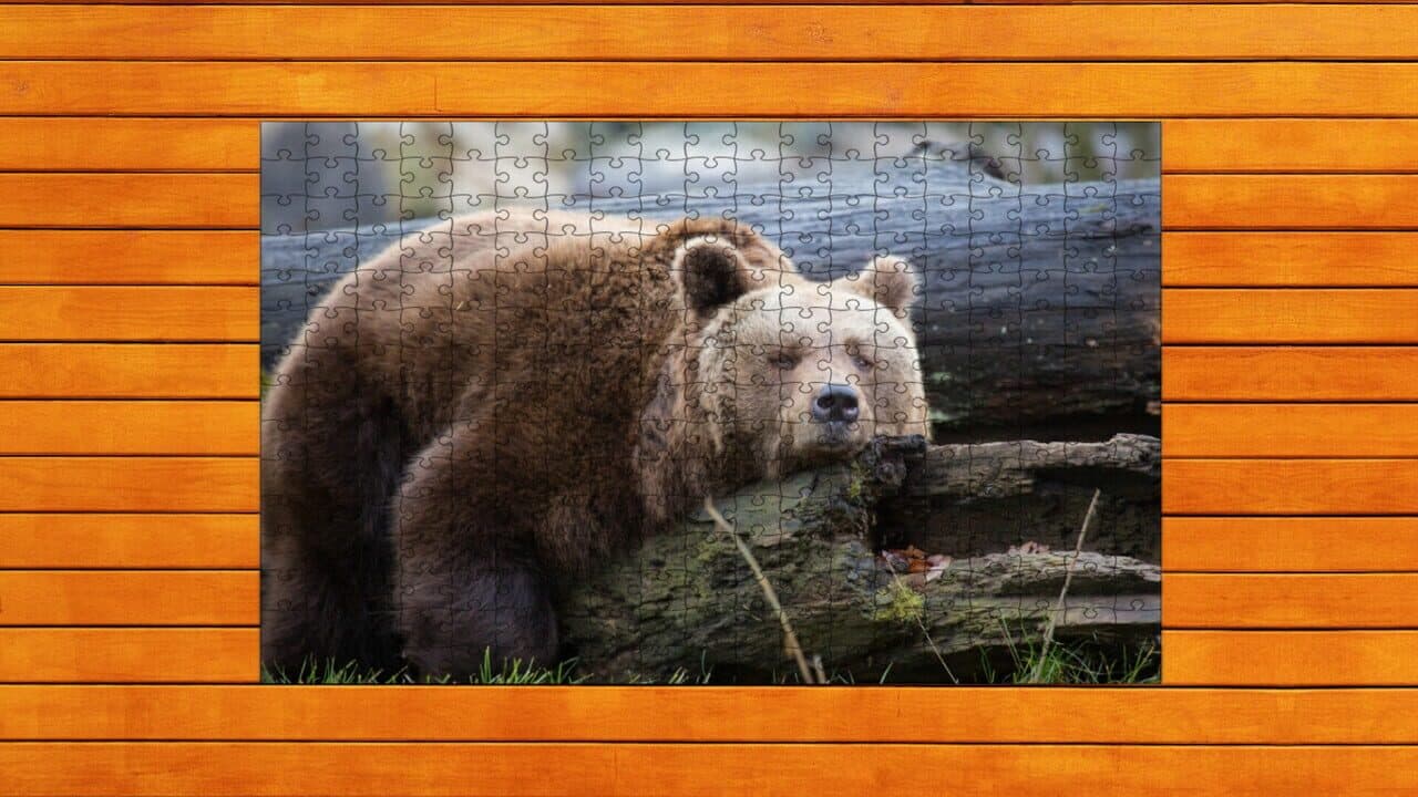 Bear vs. Wolf Jigsaw Puzzle: Expansion Pack 1 screenshot 1
