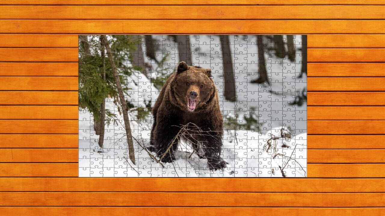 Bear vs. Wolf Jigsaw Puzzle: Expansion Pack 2 screenshot 1