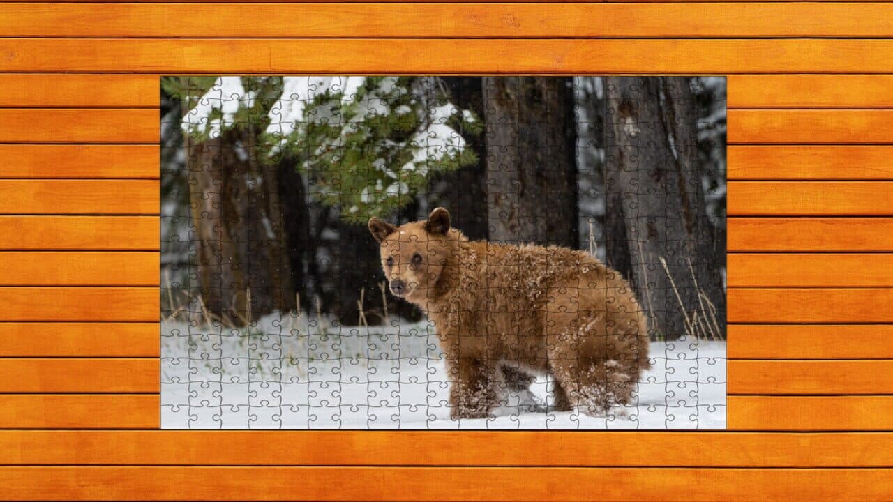Bear vs. Wolf Jigsaw Puzzle: Expansion Pack 5 screenshot 1