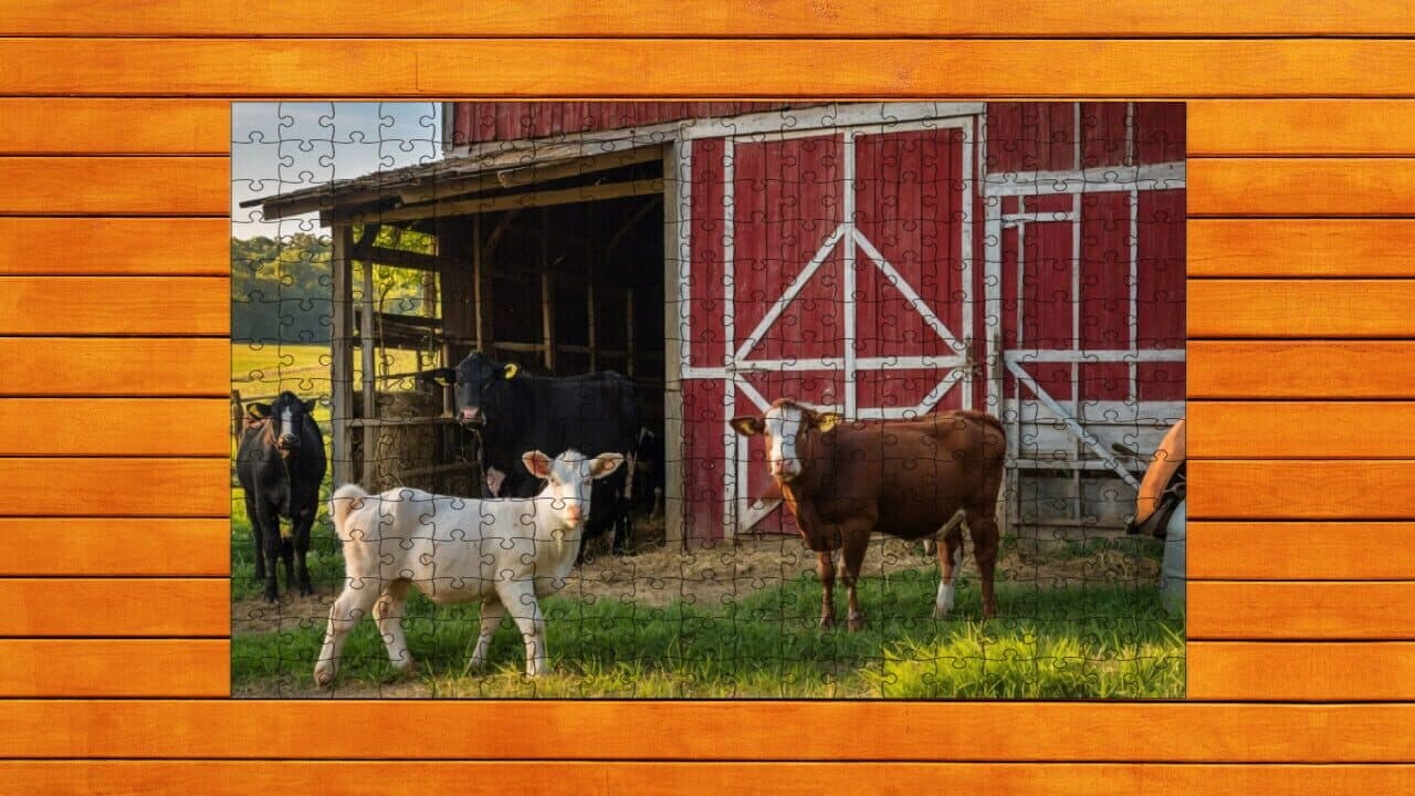 Farmyard Pals Jigsaw Puzzles thumbnail 3
