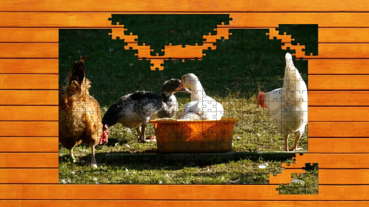 Farmyard Pals Jigsaw Puzzles thumbnail 6