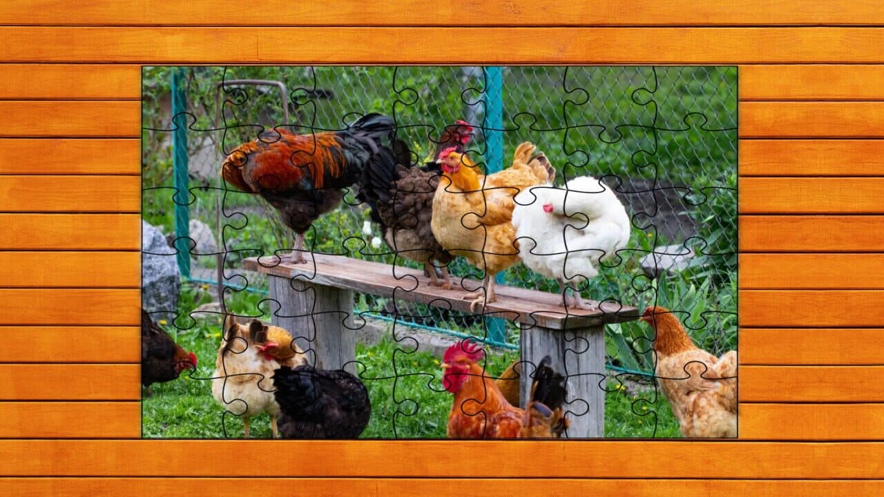 Farmyard Pals Jigsaw Puzzles thumbnail 7