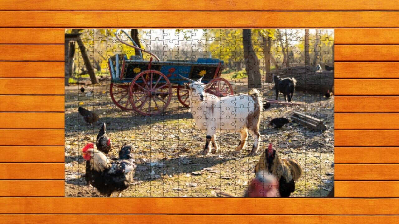 Farmyard Pals Jigsaw Puzzles thumbnail 5