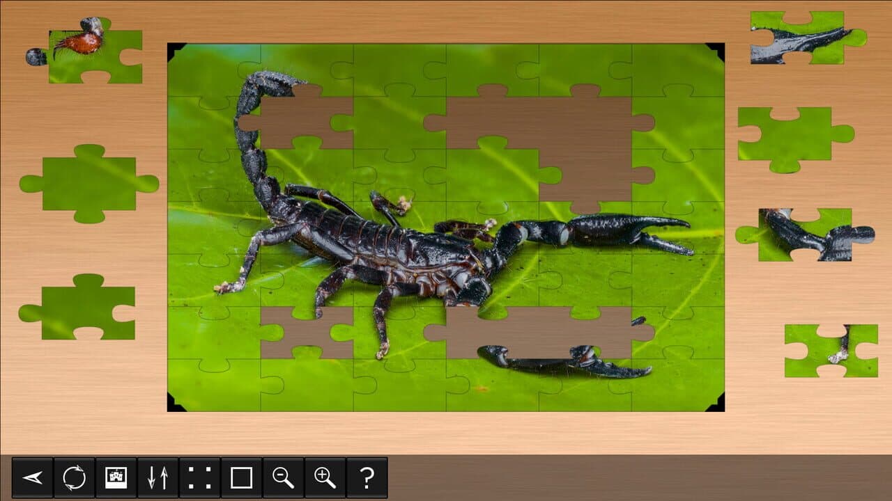 Jigsaw Puzzle World: Arachnids screenshot 1