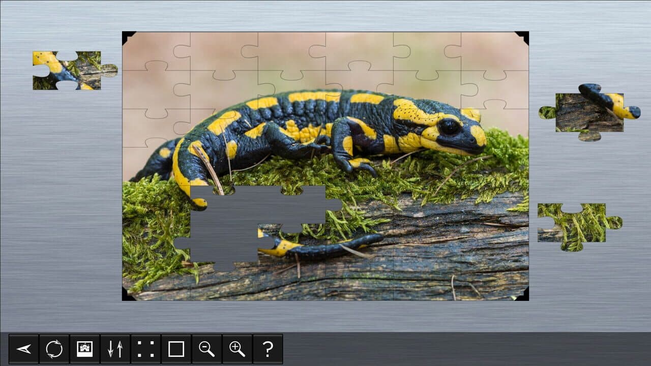 Jigsaw Puzzle World: Amphibians screenshot 1