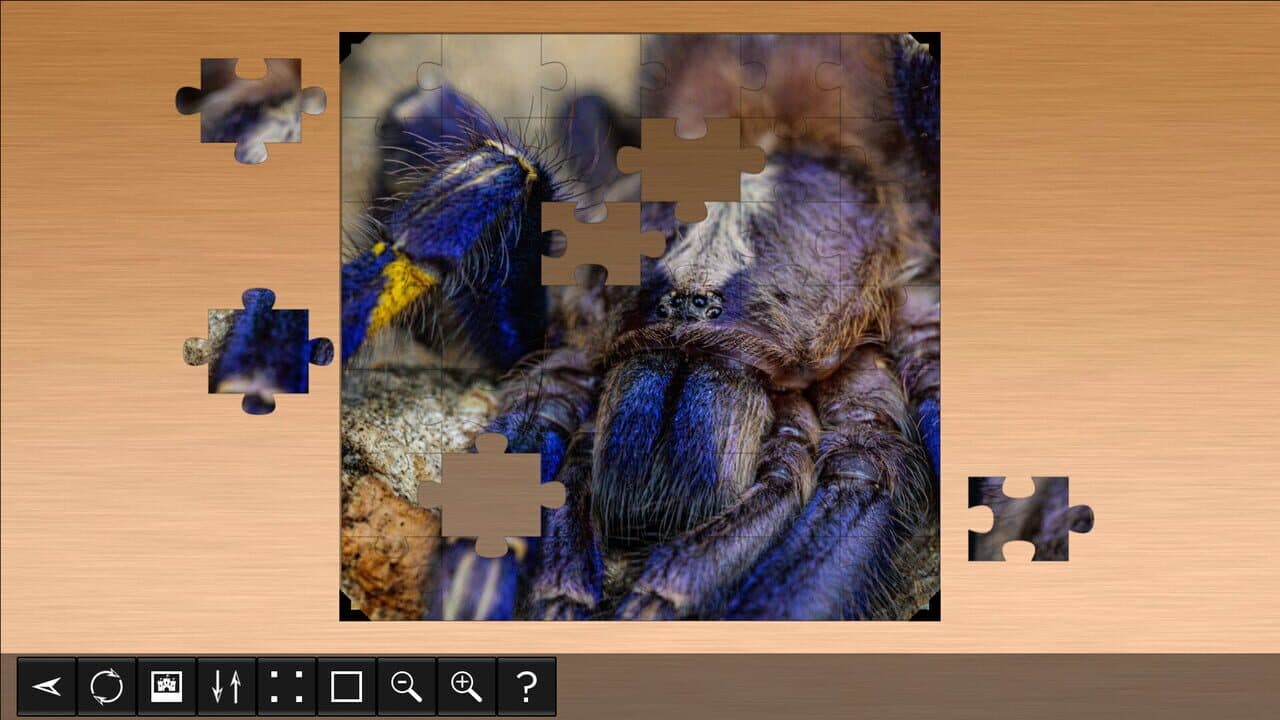 Jigsaw Puzzle World: Arachnids thumbnail 2