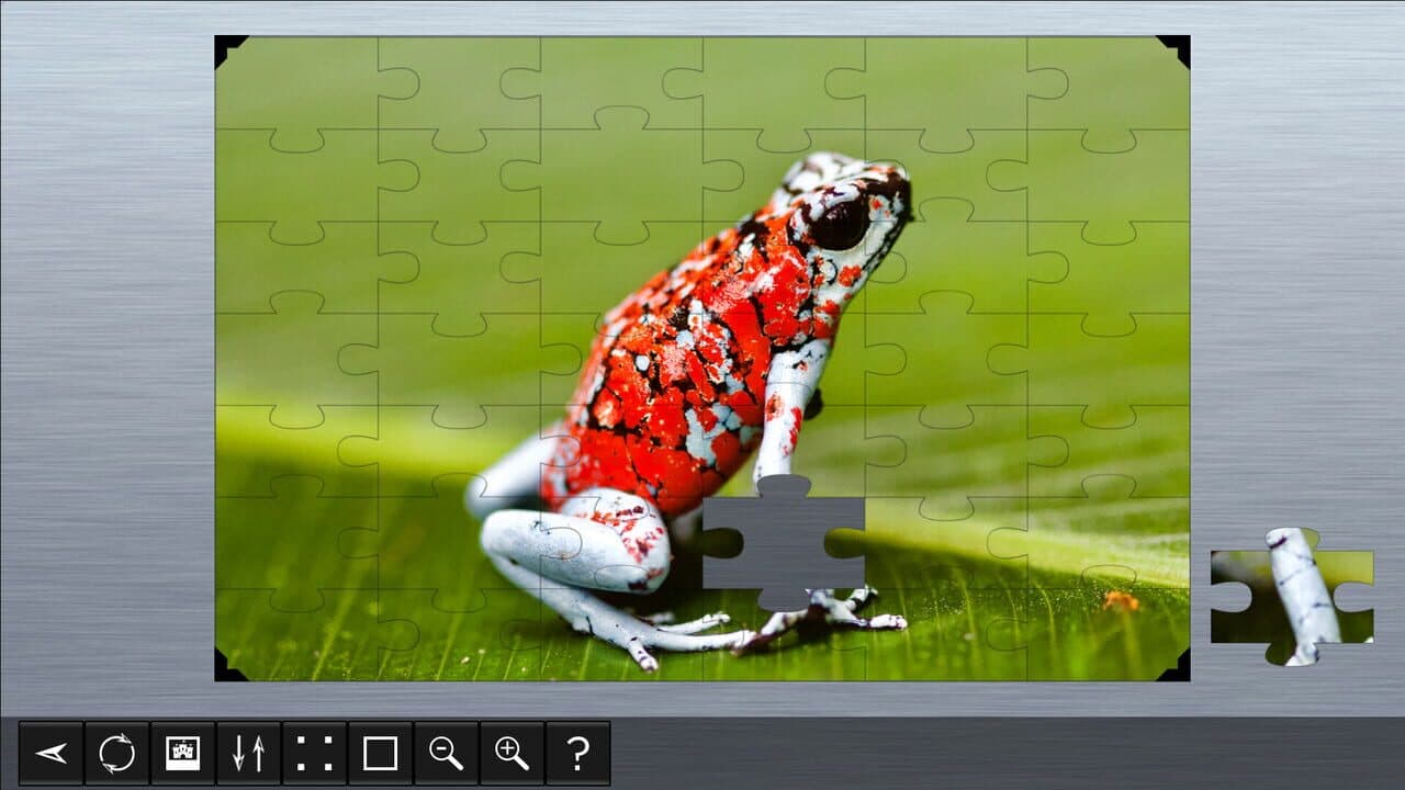 Jigsaw Puzzle World: Amphibians thumbnail 2