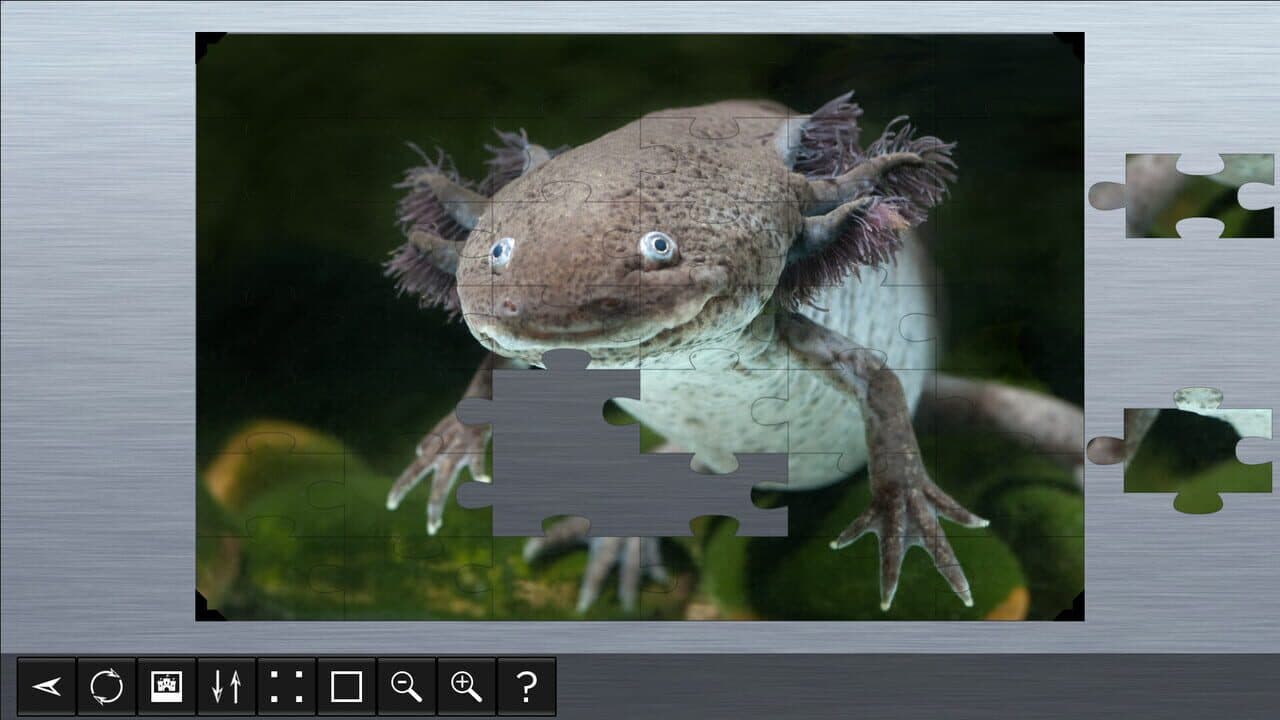 Jigsaw Puzzle World: Amphibians thumbnail 3