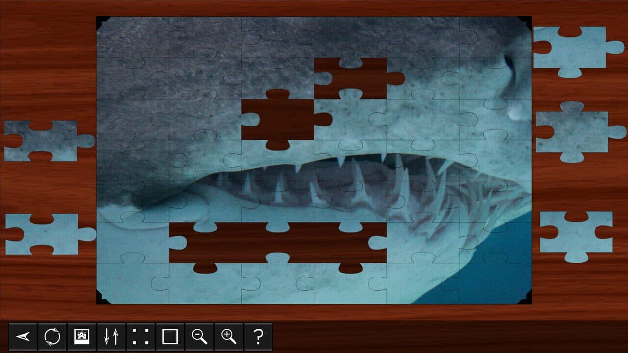 Jigsaw Puzzle World: Sharks thumbnail 3