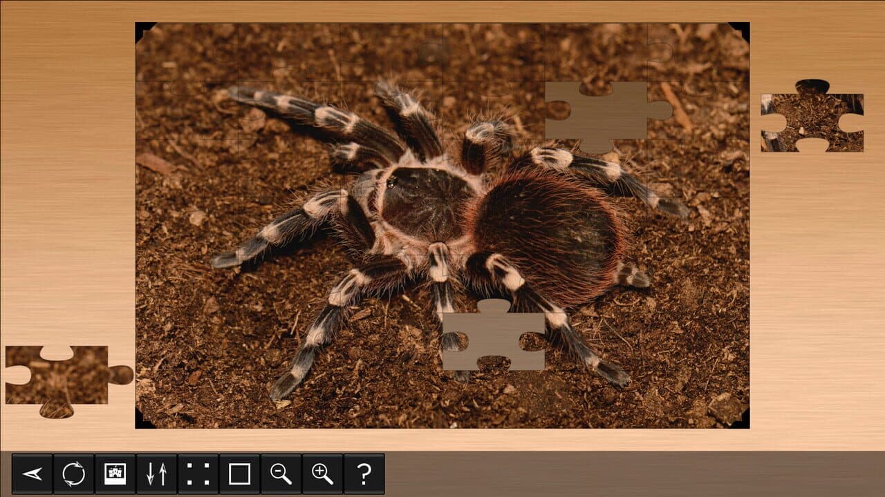 Jigsaw Puzzle World: Arachnids thumbnail 4