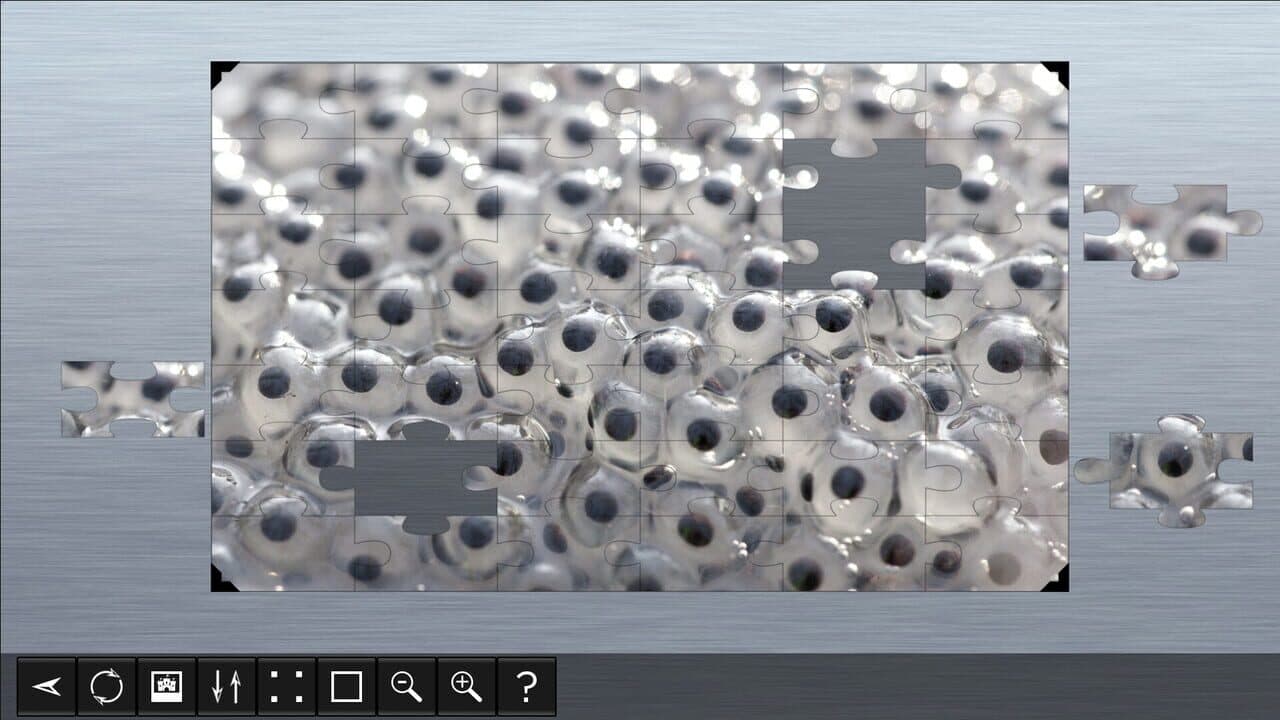 Jigsaw Puzzle World: Amphibians thumbnail 4