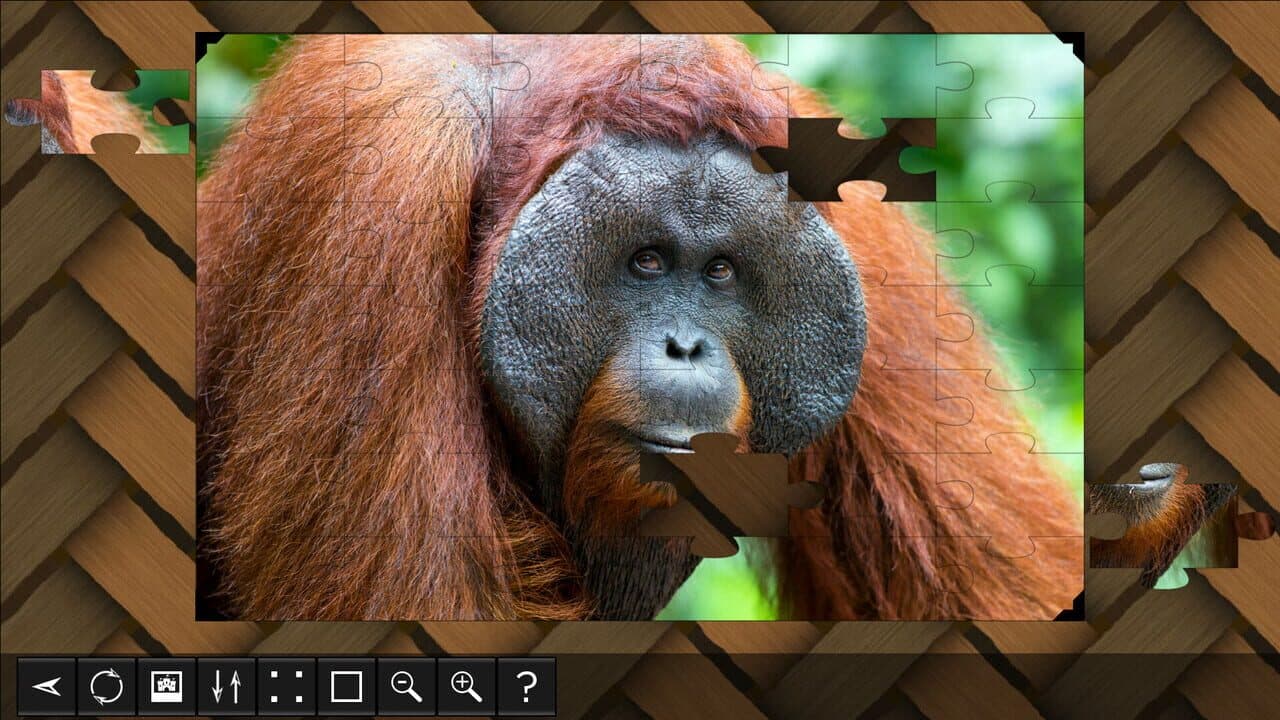 Jigsaw Puzzle World: Primates screenshot 1
