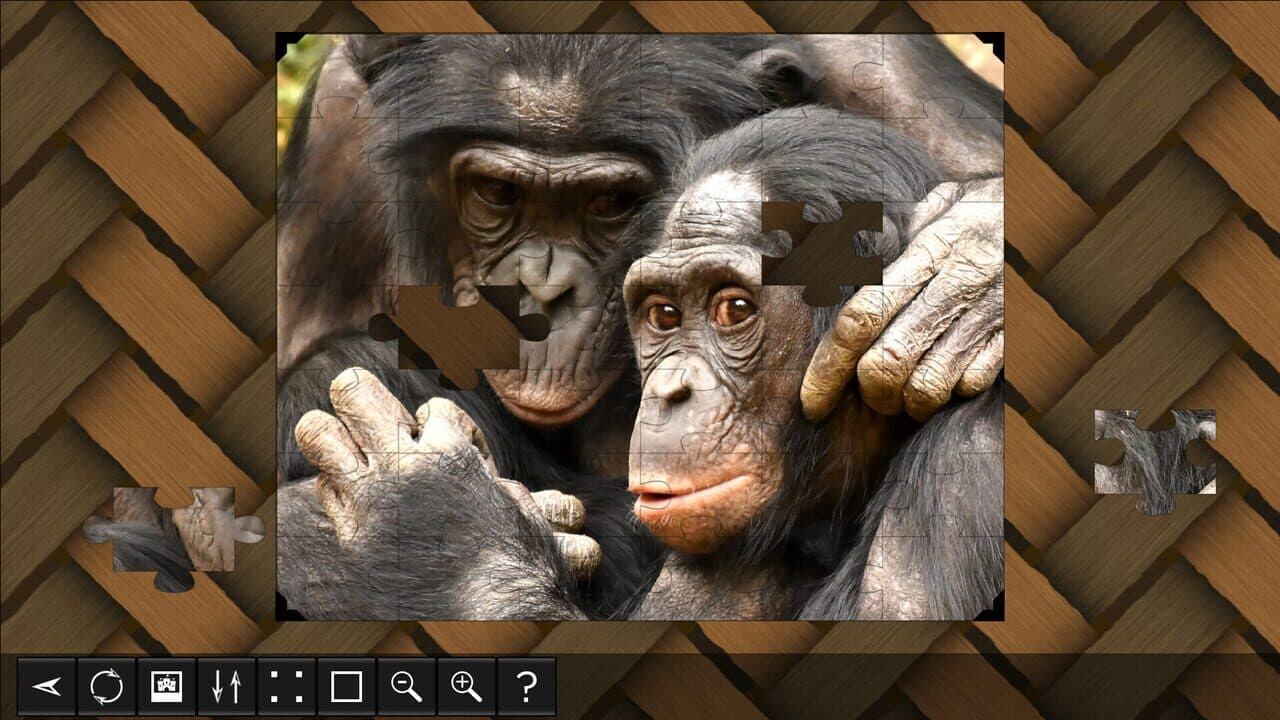 Jigsaw Puzzle World: Primates thumbnail 3