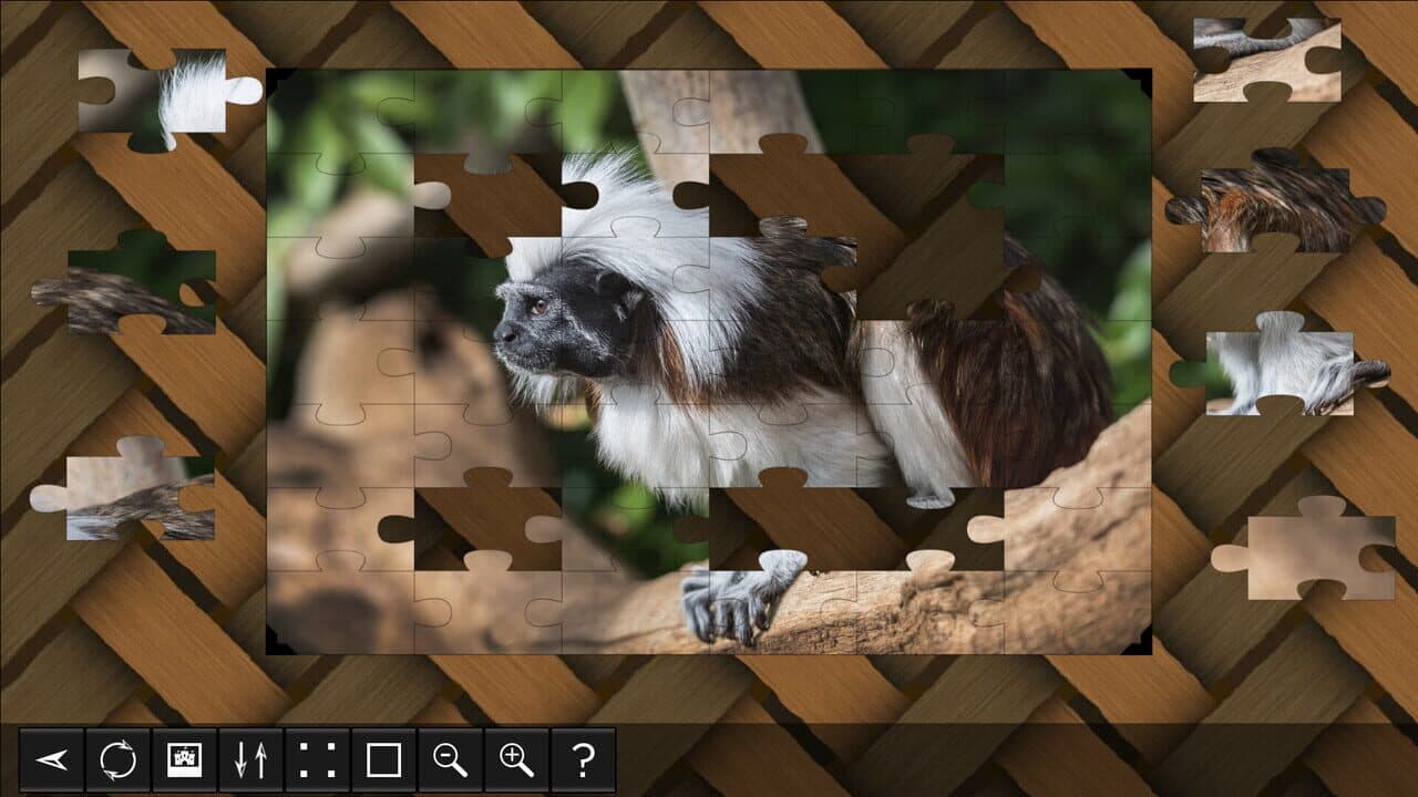 Jigsaw Puzzle World: Primates thumbnail 4