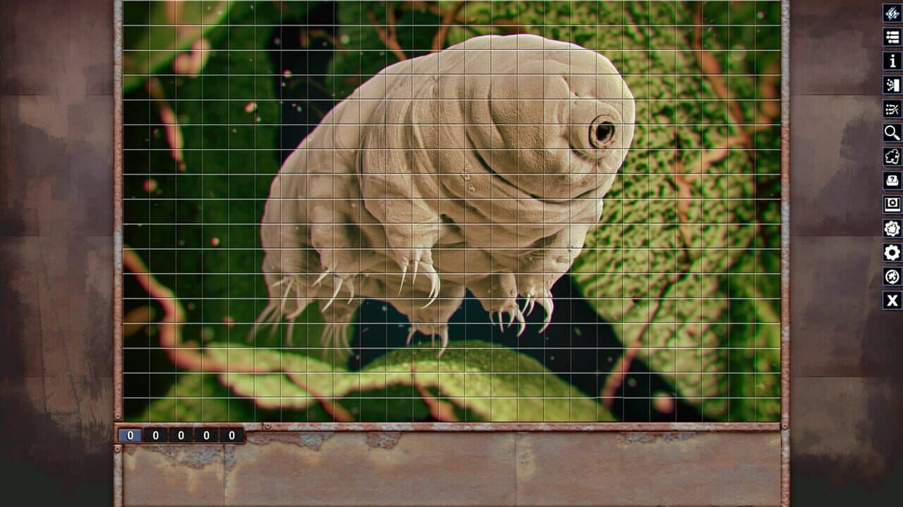 Pixel Puzzles: Illustrations & Anime - Jigsaw Pack: Microorganisms screenshot 1