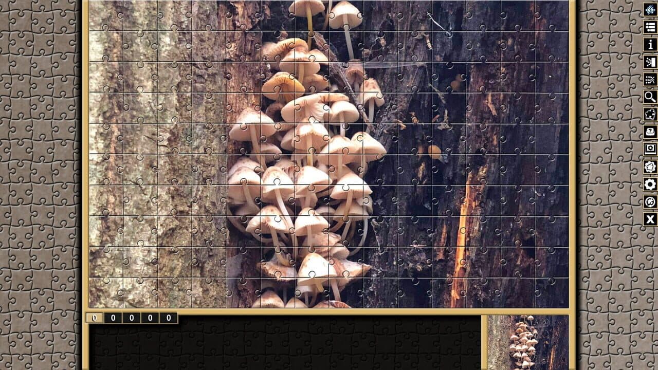Pixel Puzzles Traditional Jigsaws: Variety Pack XXS thumbnail 2