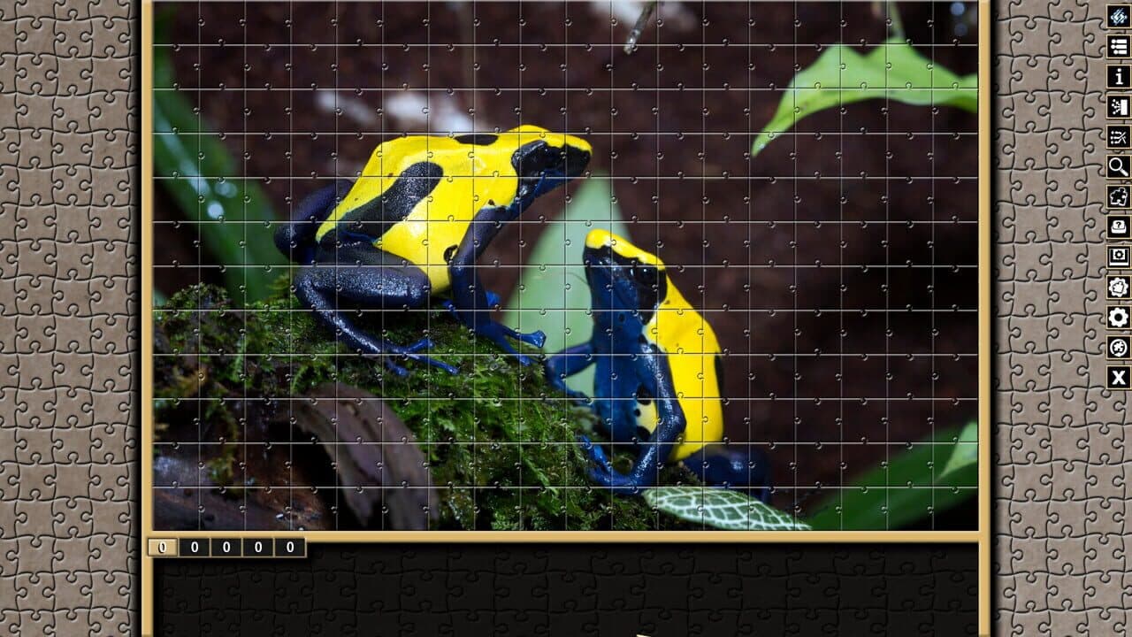 Pixel Puzzles Traditional Jigsaws: Frogs thumbnail 2