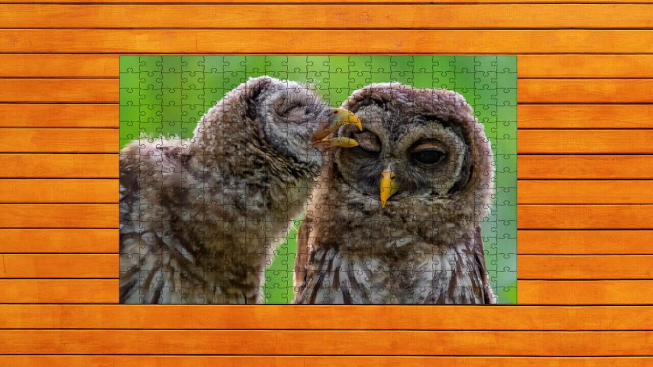 Whispers of Wings Jigsaw Puzzles: Expansion Pack 4 screenshot 1