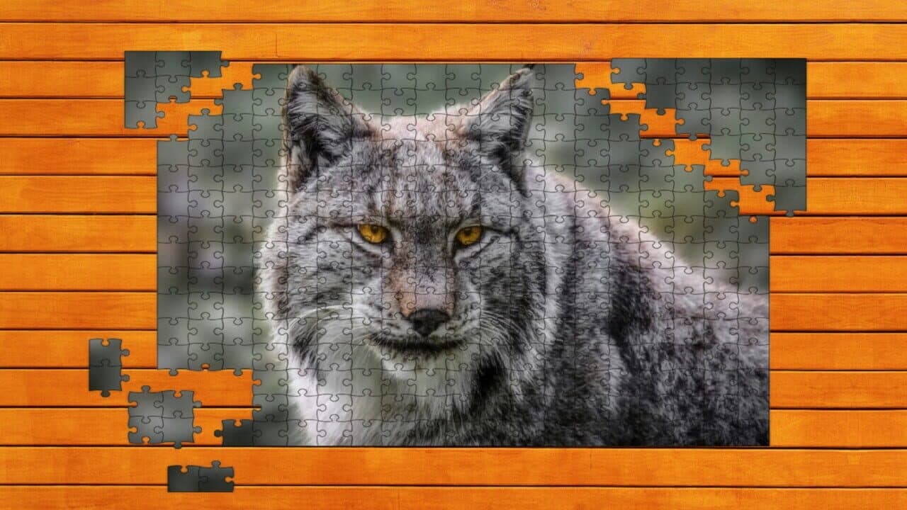 Wild Lynx Jigsaw: Expansion Pack 2 screenshot 1