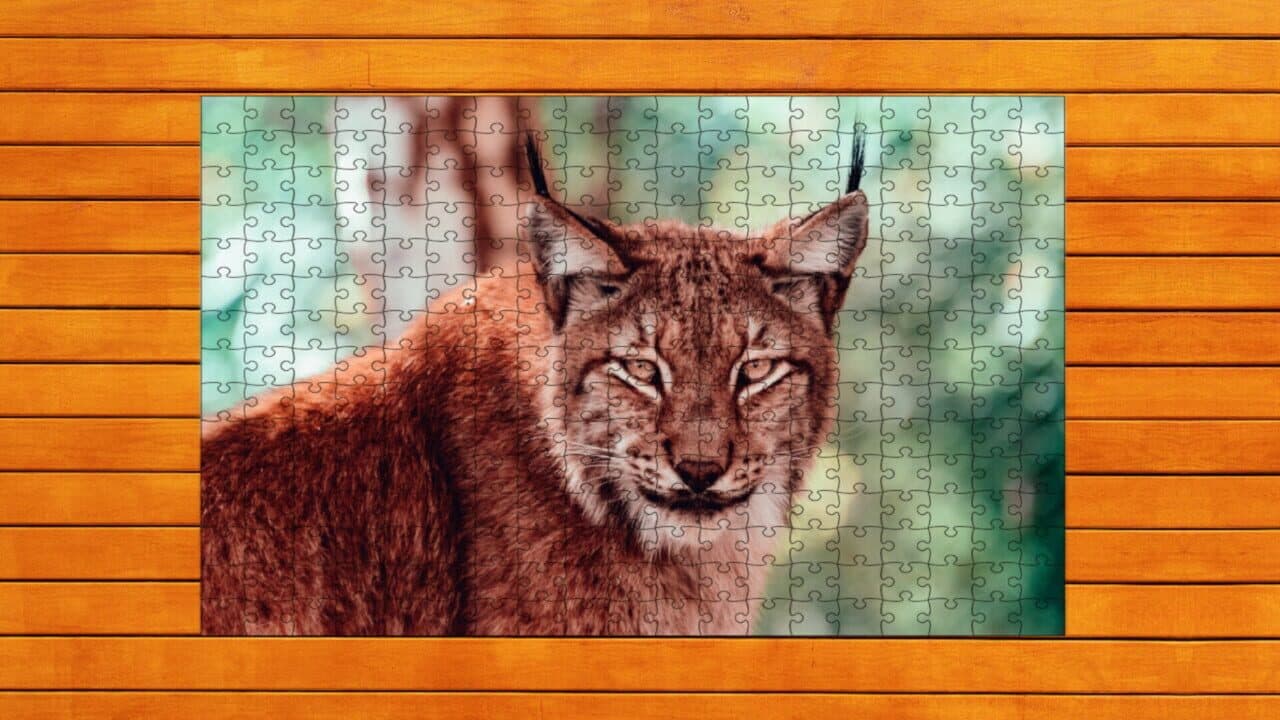 Wild Lynx Jigsaw: Expansion Pack 1 screenshot 1