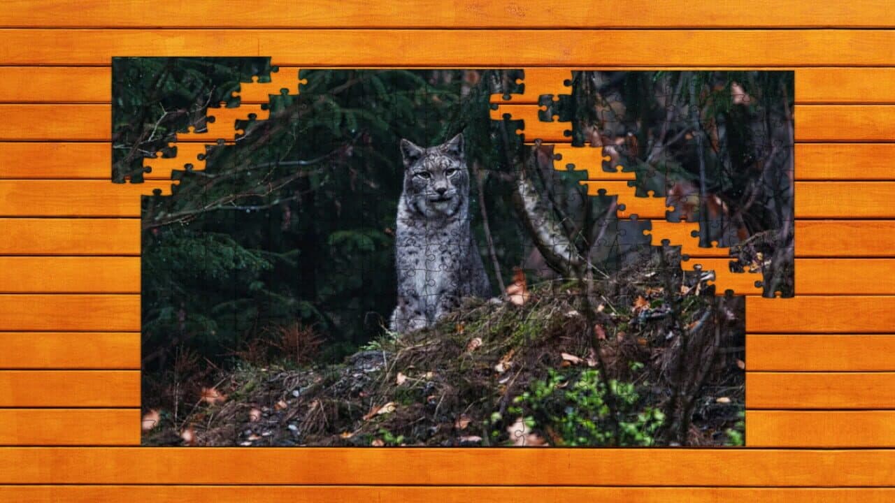 Wild Lynx Jigsaw: Expansion Pack 1 thumbnail 3