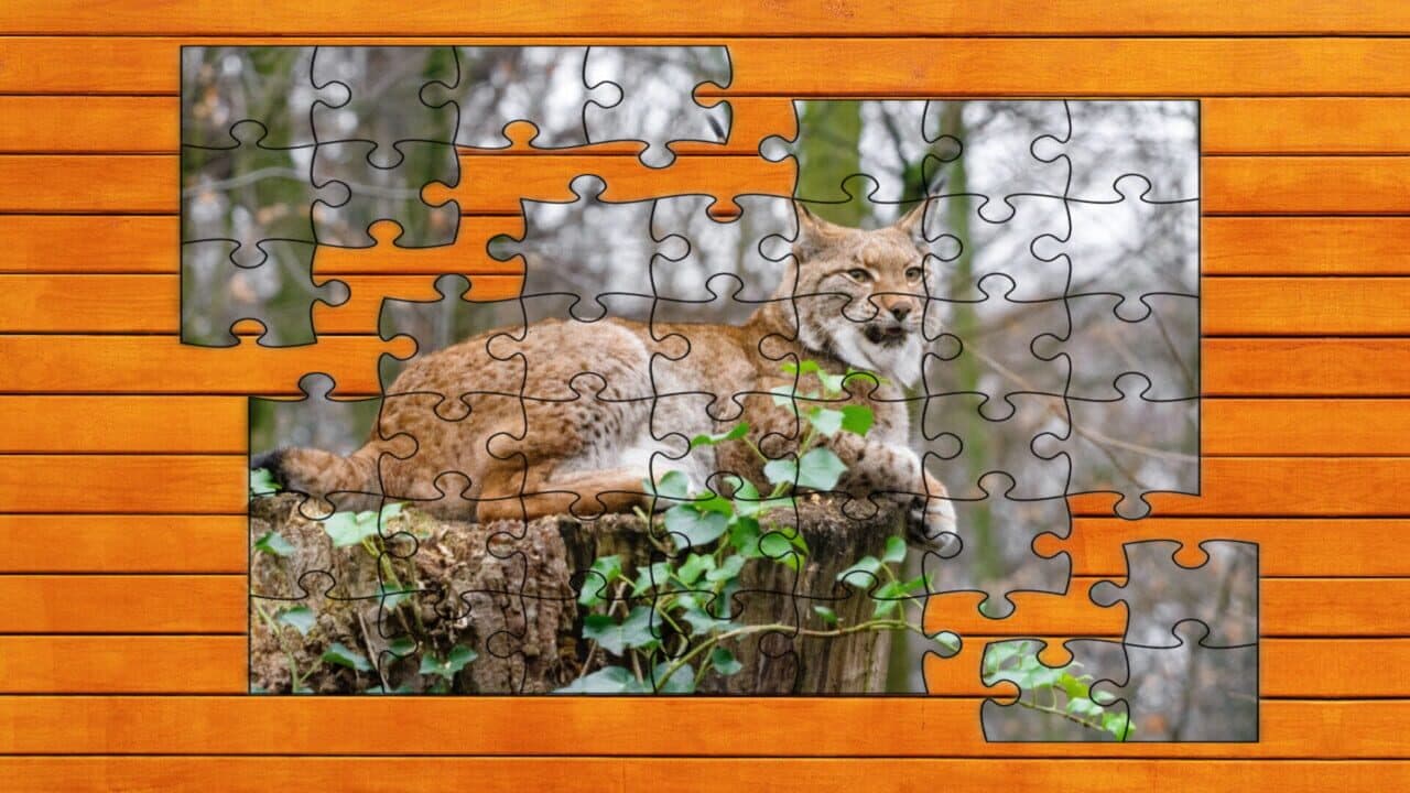 Wild Lynx Jigsaw: Expansion Pack 1 thumbnail 4