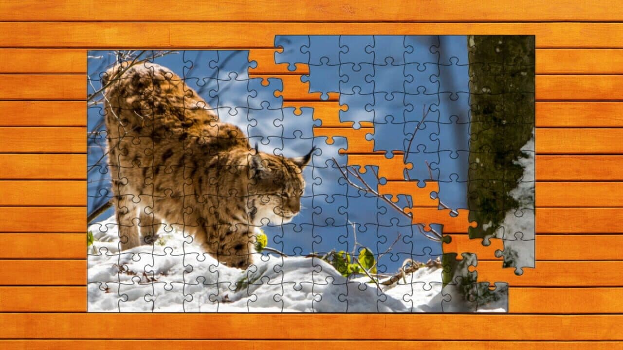 Wild Lynx Jigsaw: Expansion Pack 1 thumbnail 5