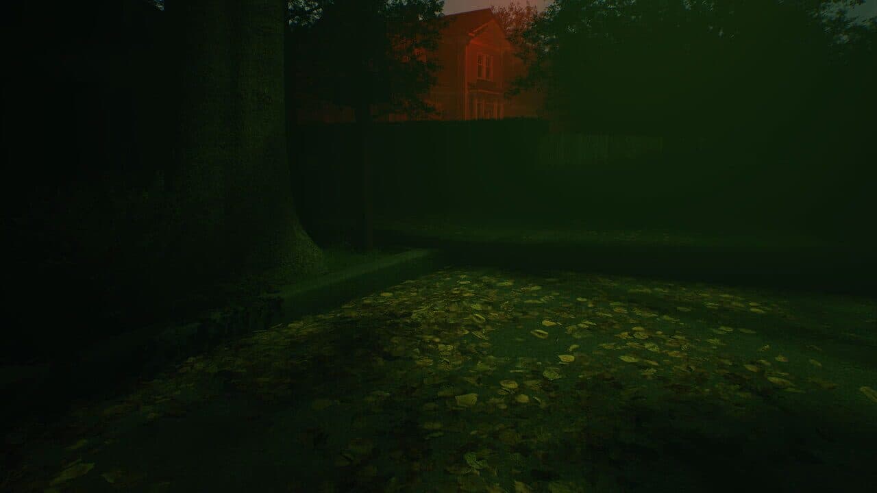 Birth of X thumbnail 4