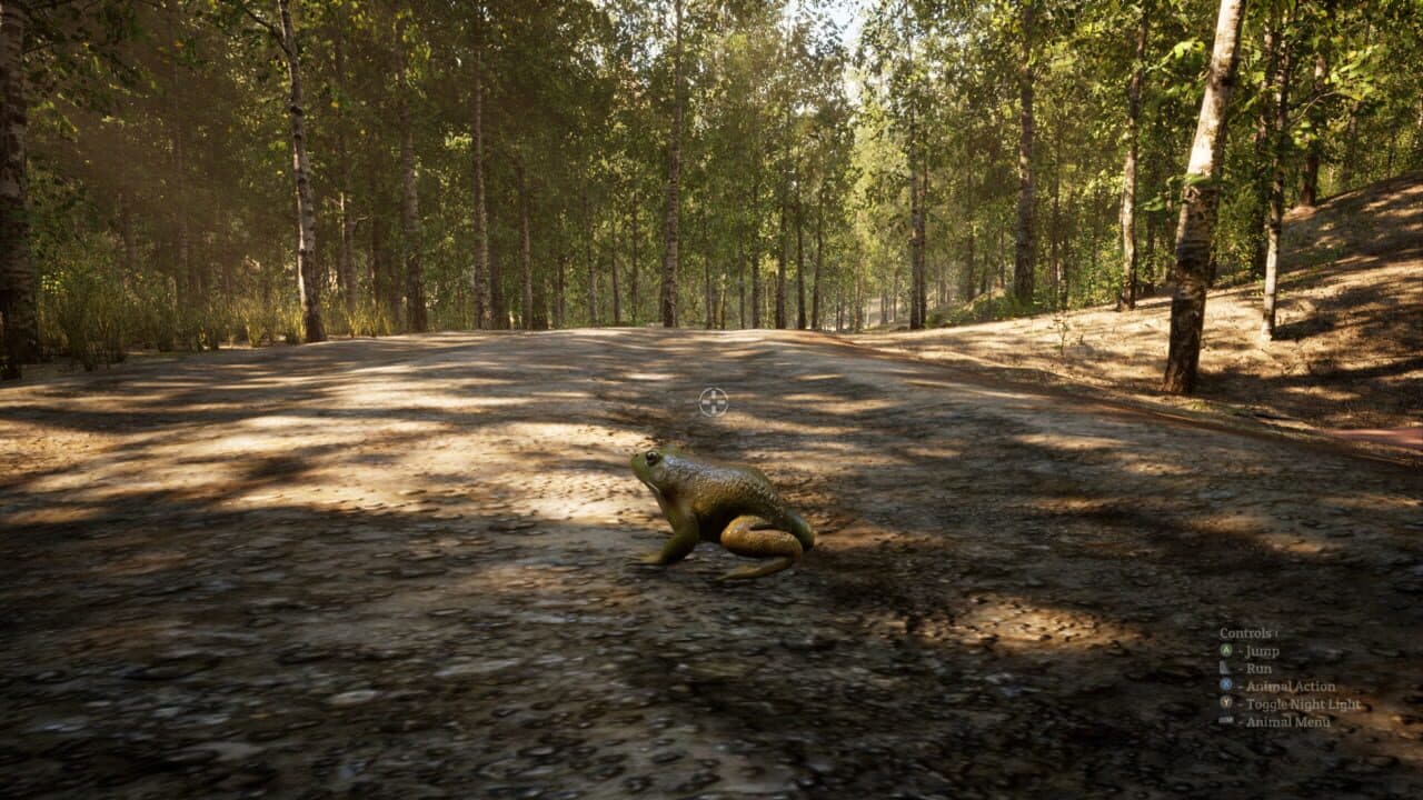 Morels: The Hunt 2 thumbnail 13
