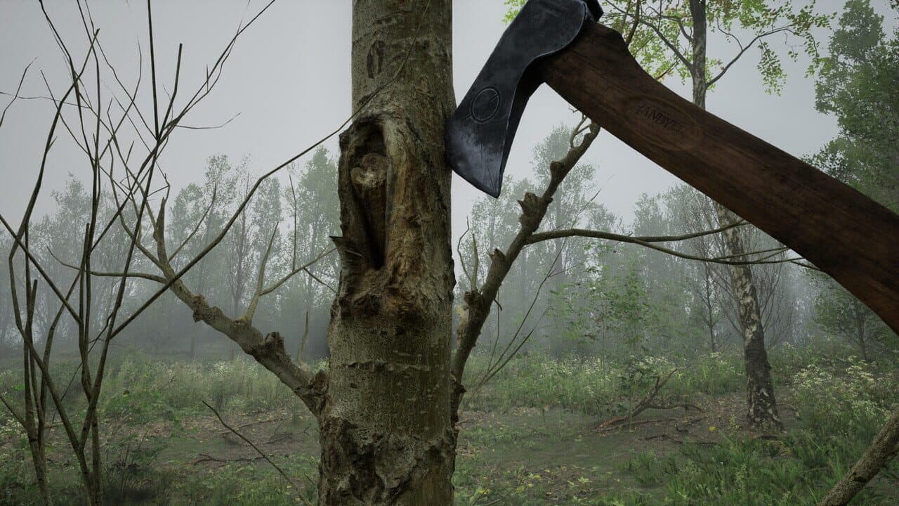 Forest Doesn’t Care thumbnail 2