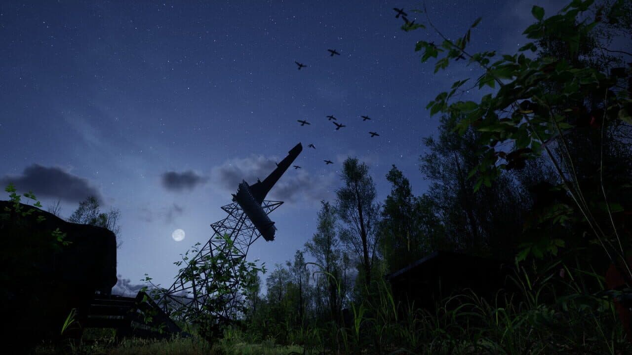 Forest Doesn’t Care thumbnail 4