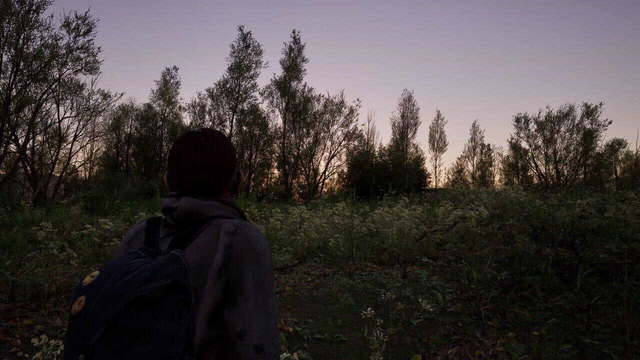 Forest Doesn’t Care thumbnail 6
