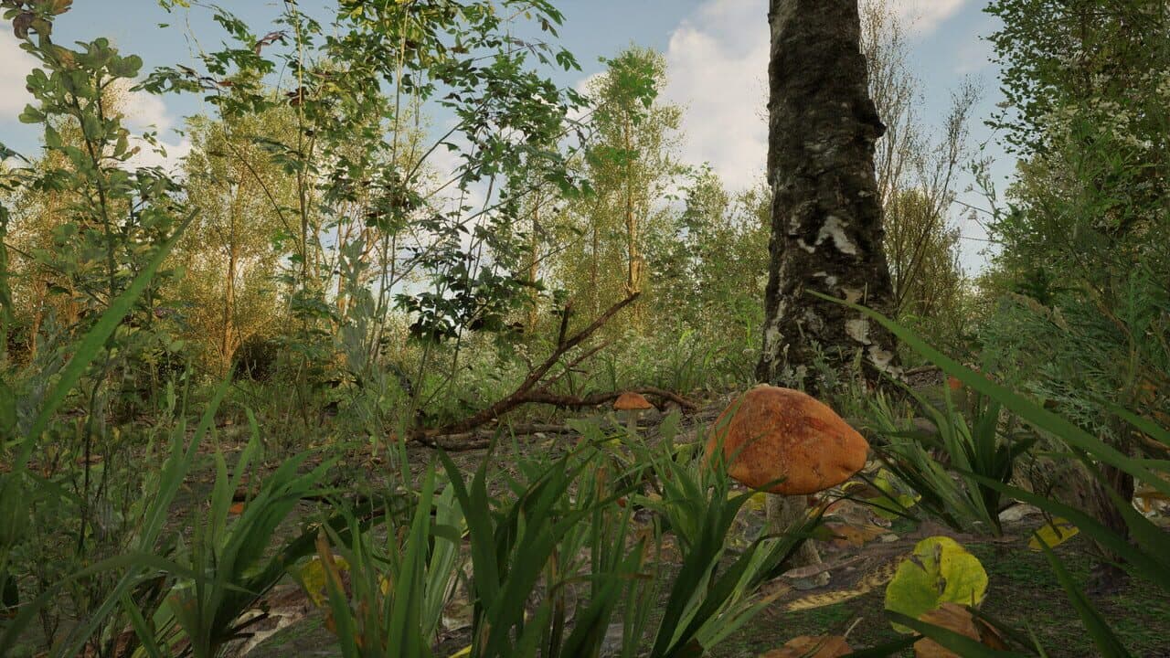 Forest Doesn’t Care thumbnail 8