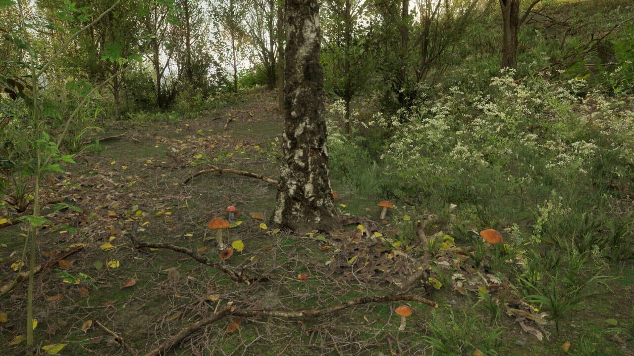 Forest Doesn’t Care thumbnail 9