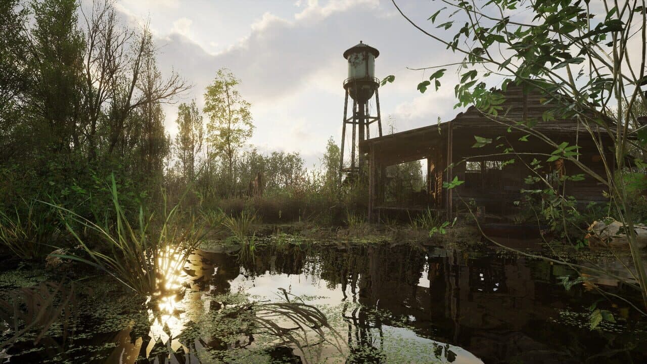 Forest Doesn’t Care thumbnail 10
