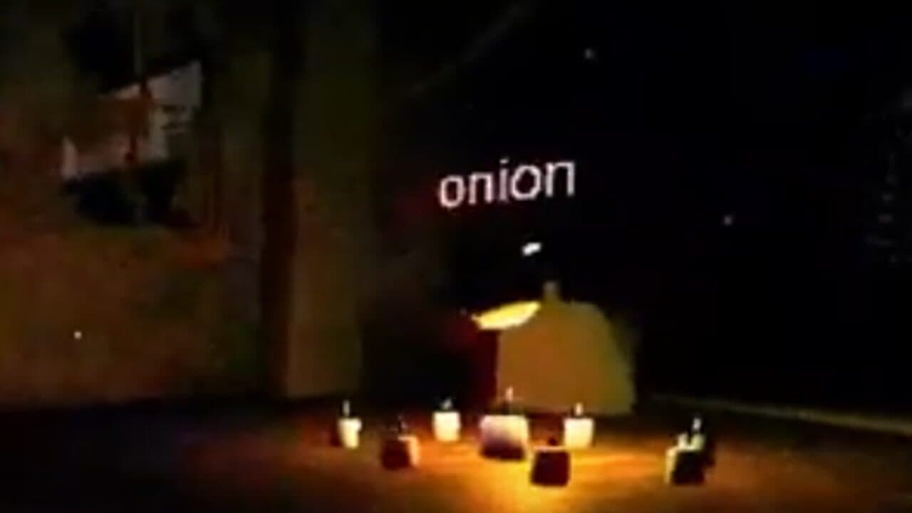 Shrek: The Forbidden Onion screenshot 1