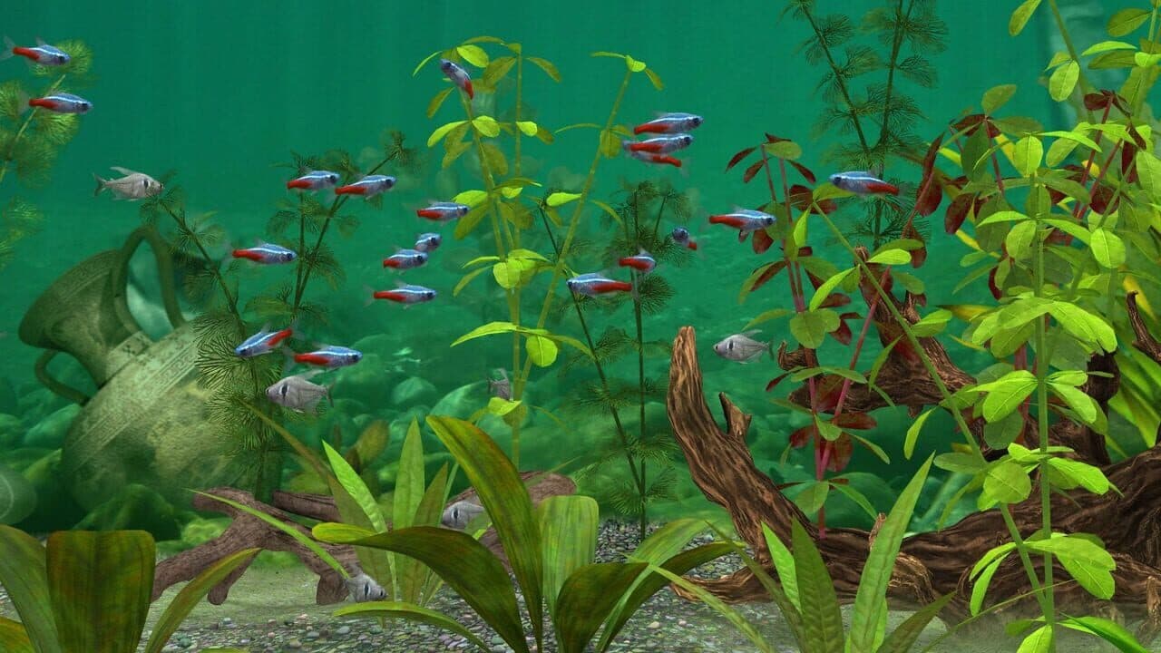 Fish Farm 3 thumbnail 2