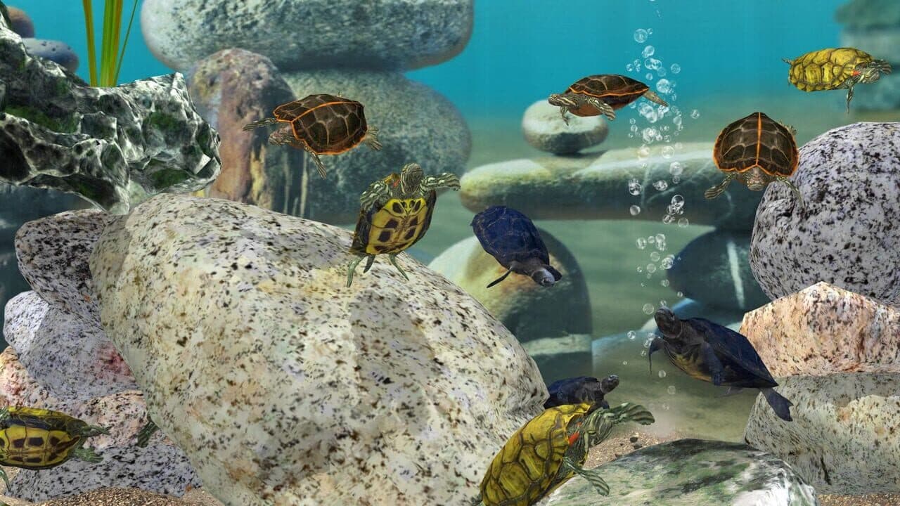 Fish Farm 3 thumbnail 3