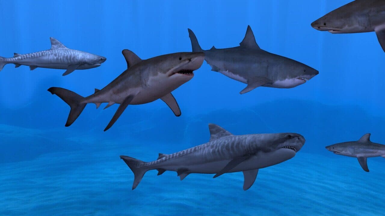 Fish Farm 3 thumbnail 4