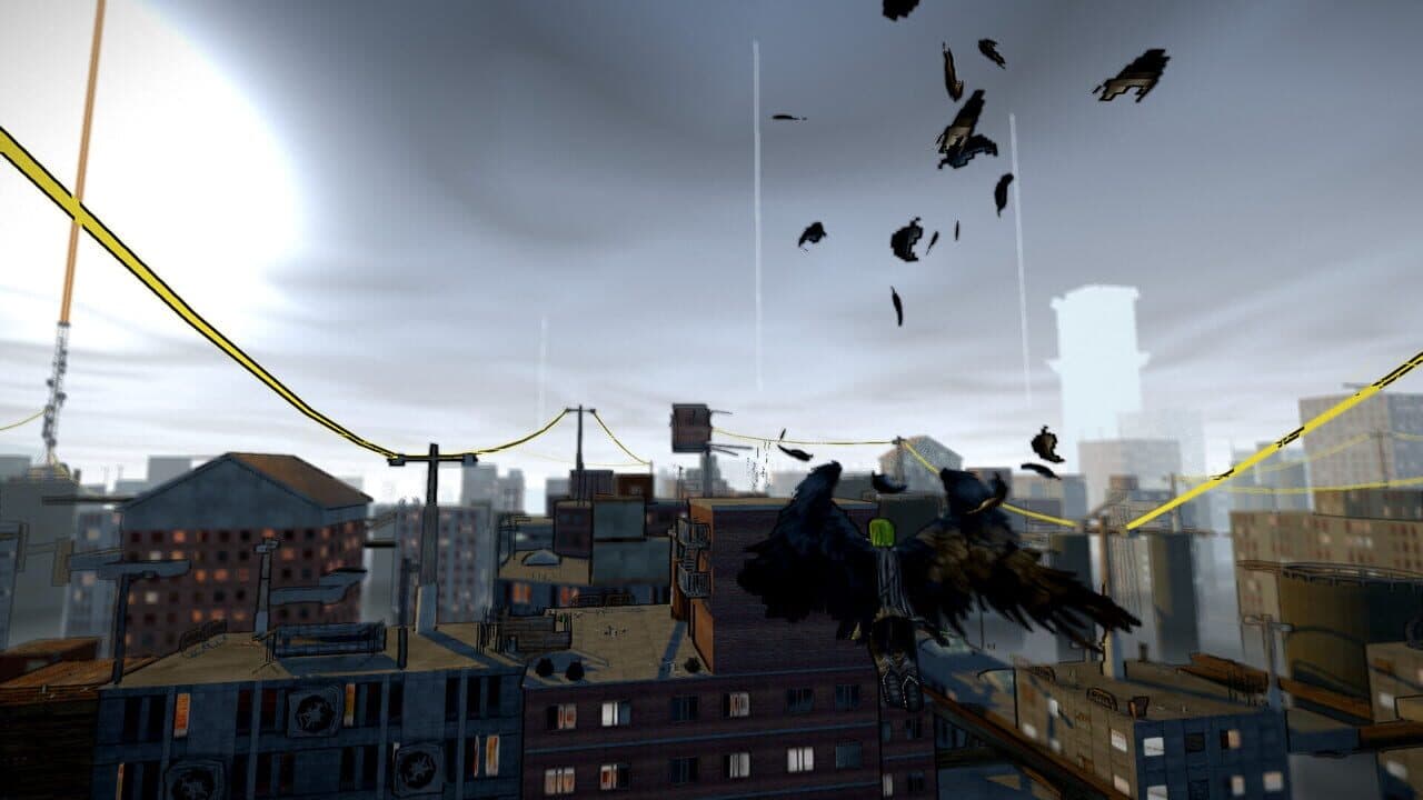 Crow thumbnail 5