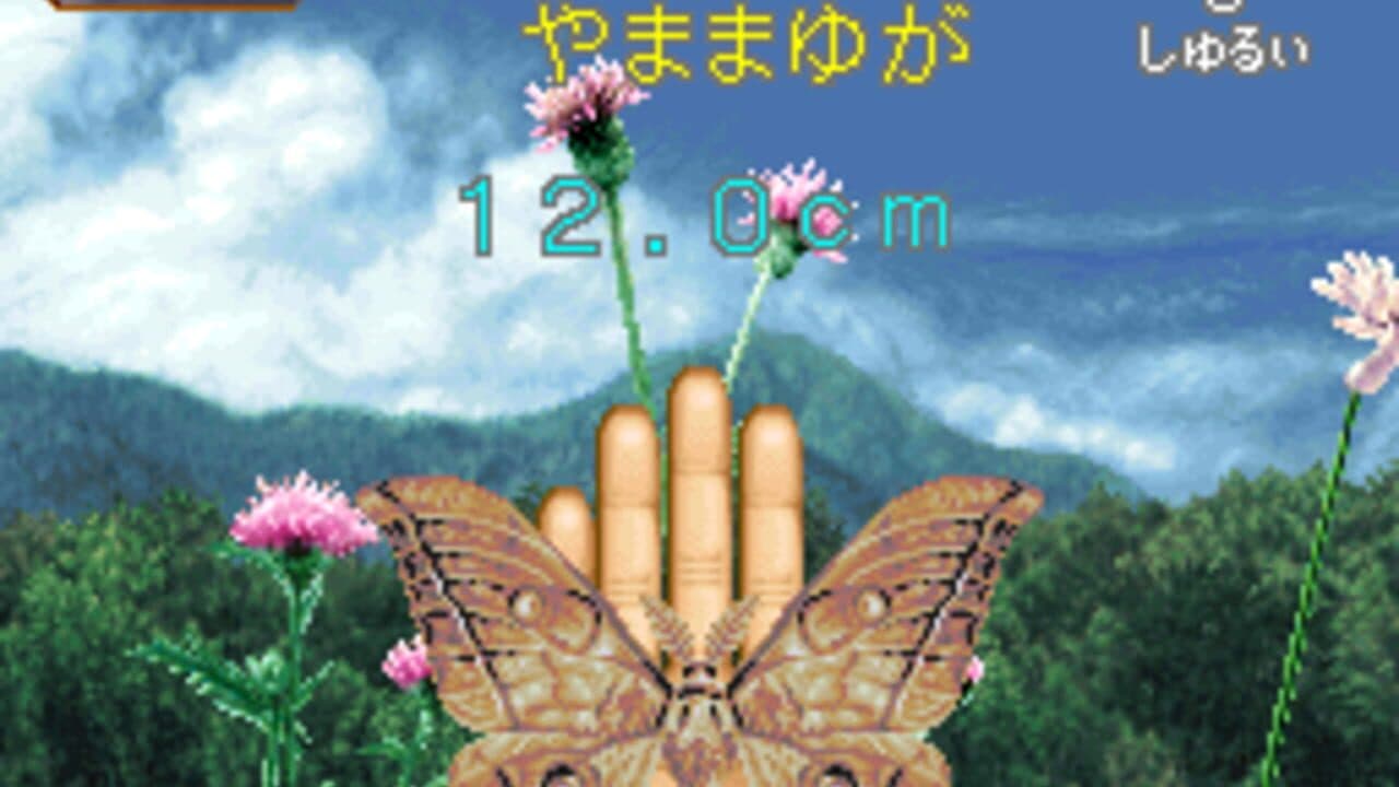 Mushi Taro thumbnail 2