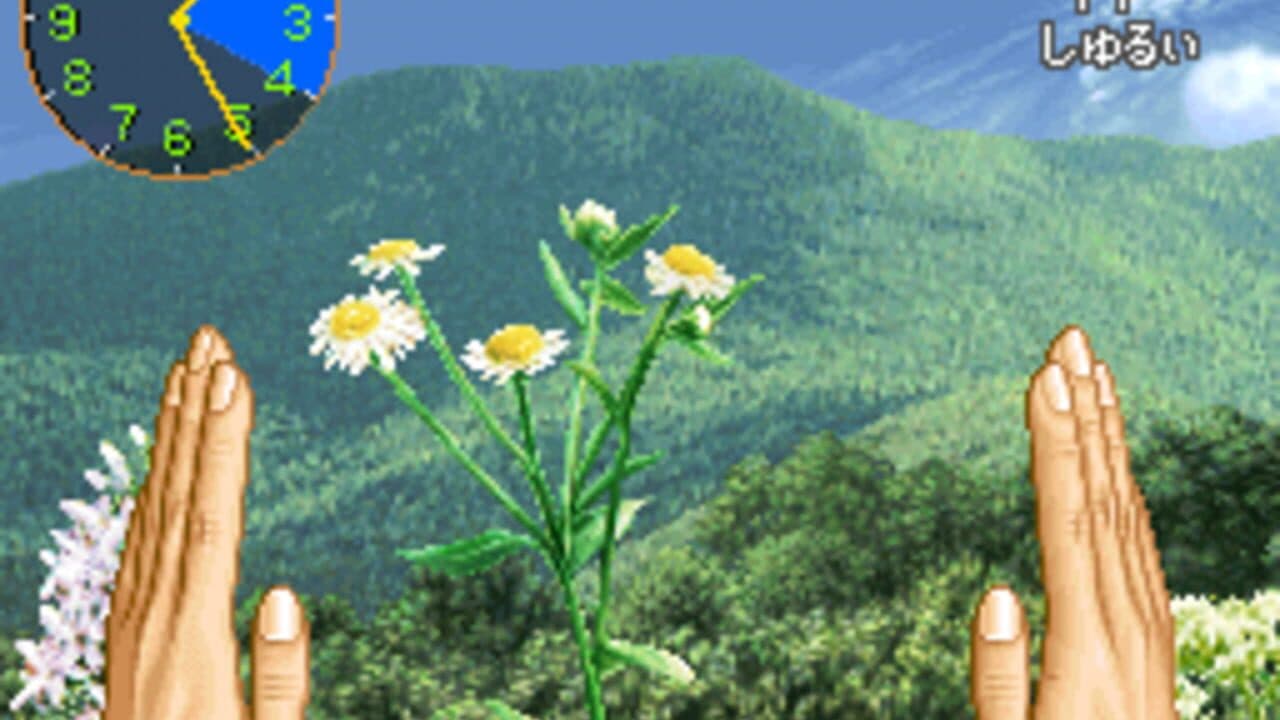 Mushi Taro thumbnail 5
