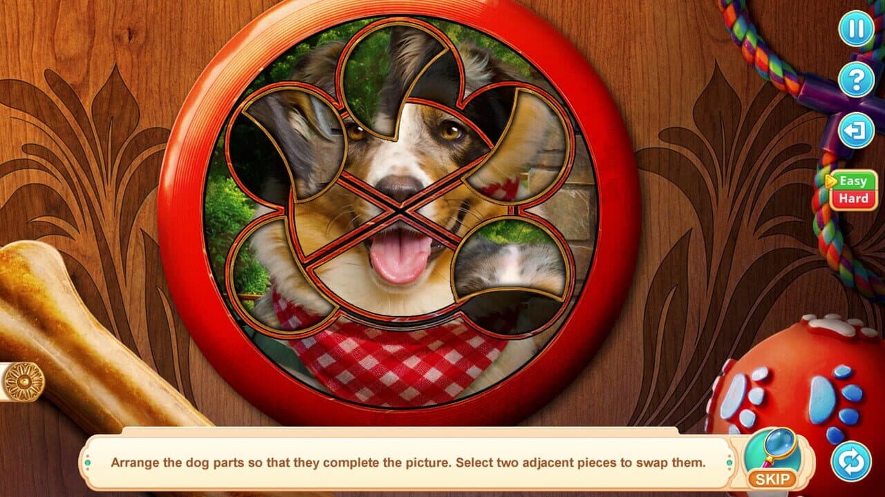 Home for Friends: Beloved Pets Collector's Edition thumbnail 2