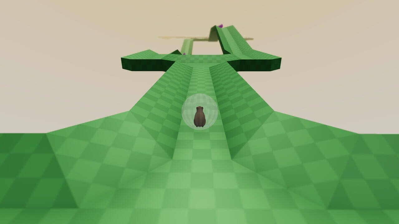 Hammy thumbnail 7