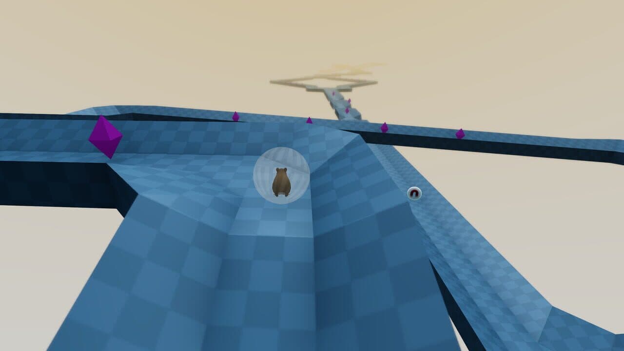 Hammy thumbnail 11