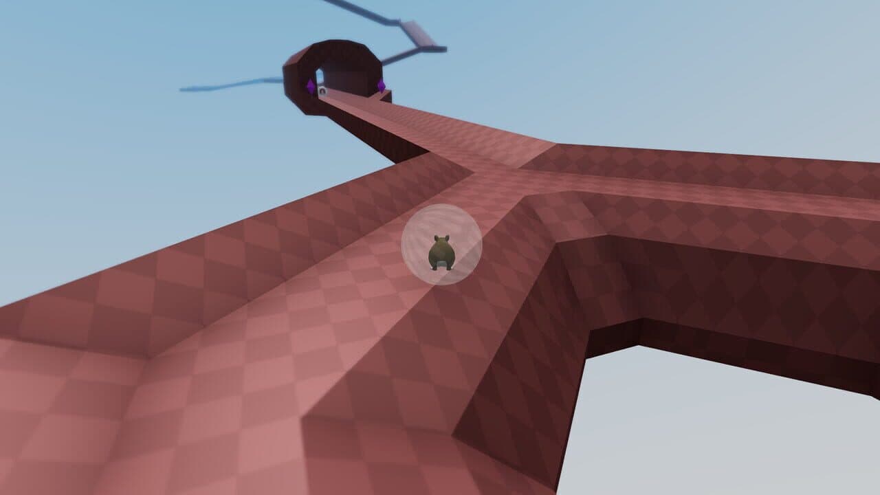 Hammy thumbnail 13