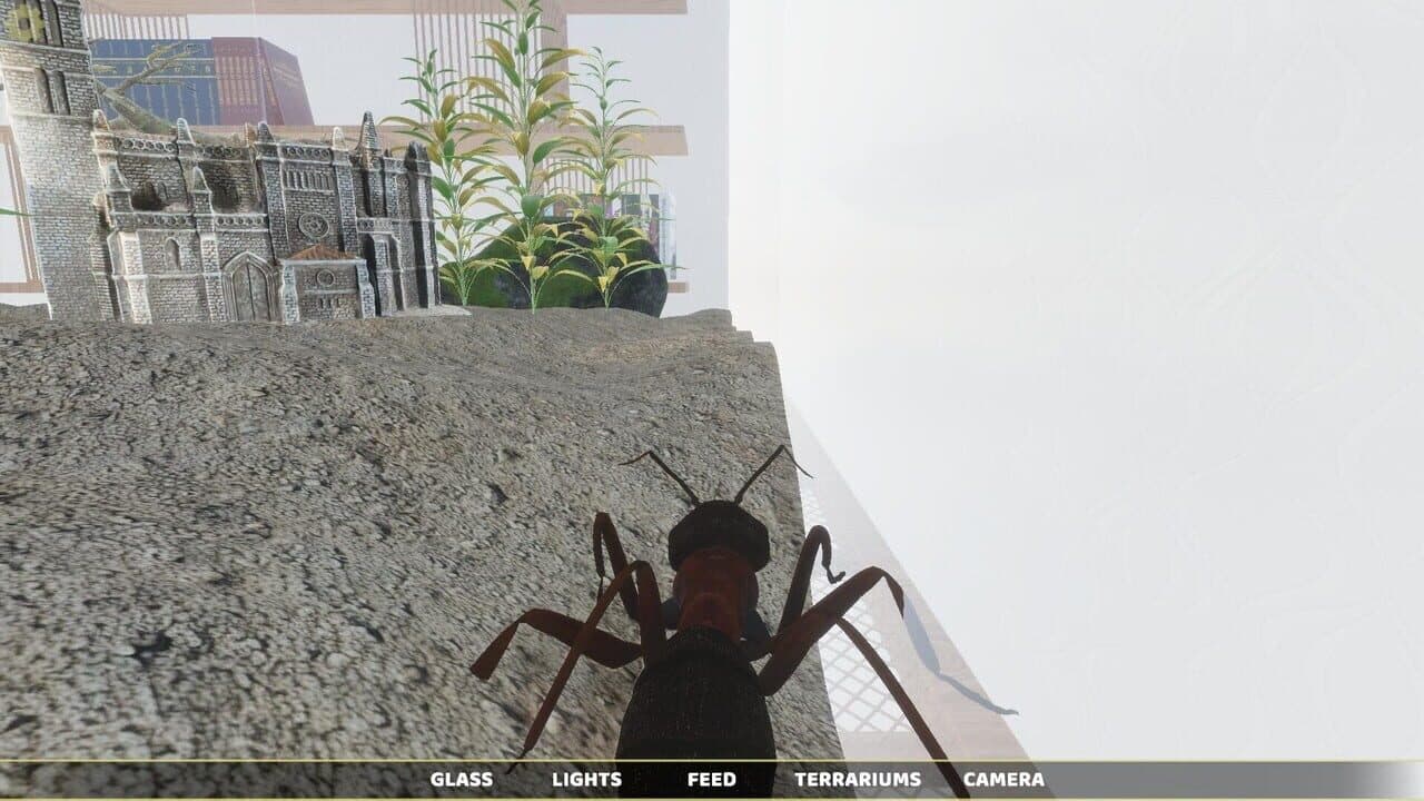 Ant Simulator thumbnail 8