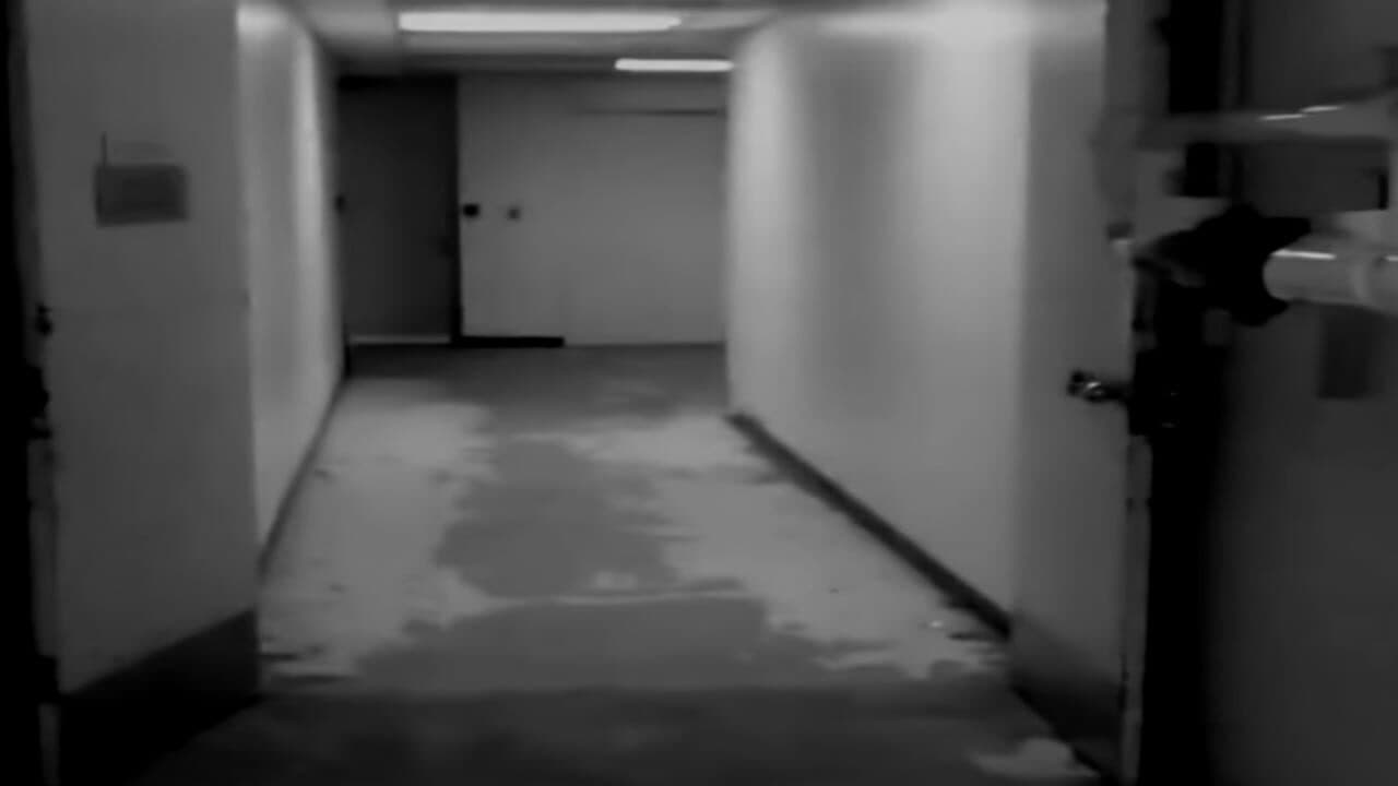 Five Nights at Pikachu's screenshot 1