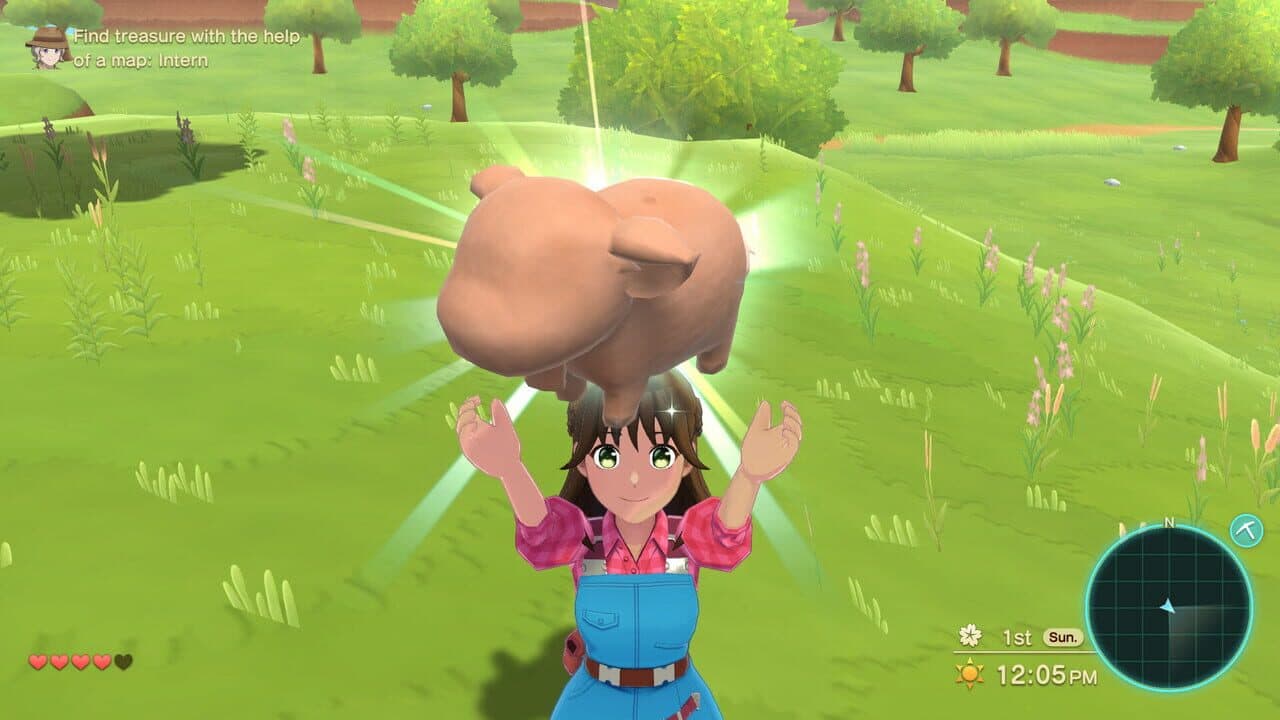 Harvest Moon: The Winds of Anthos - The Great Outdoors Pack thumbnail 2