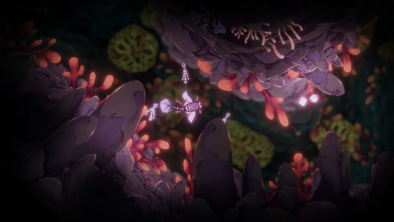 Wavekin thumbnail 3